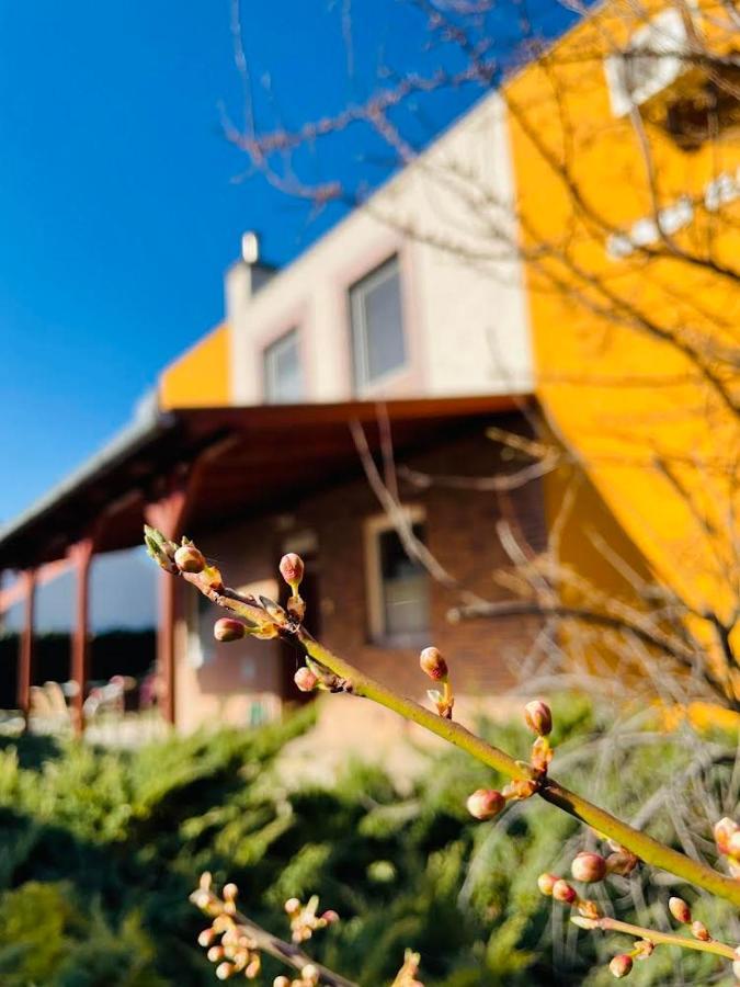 Gabi Haz Apartmanok*** Hajduszoboszlo Luaran gambar